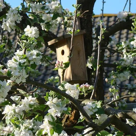 Апартаменты Im Atelierhaus Auf Dem Kuenstlerhof *
