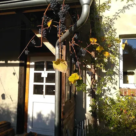 Im Atelierhaus Auf Dem Kuenstlerhof * Falkenberg (Markisch-Oderland)