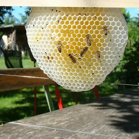 Апартаменты Im Atelierhaus Auf Dem Kuenstlerhof