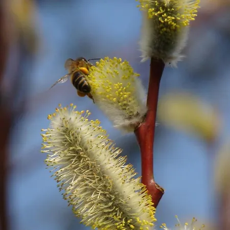 Im Atelierhaus Auf Dem Kuenstlerhof *